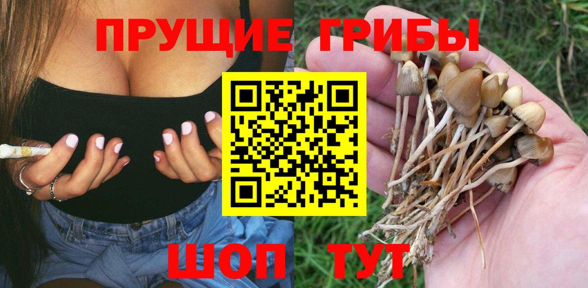Галлюциногенные грибы Magic Shrooms  Псилоцибиновые грибы мухоморы  Вход с VPN  Ставрополь 