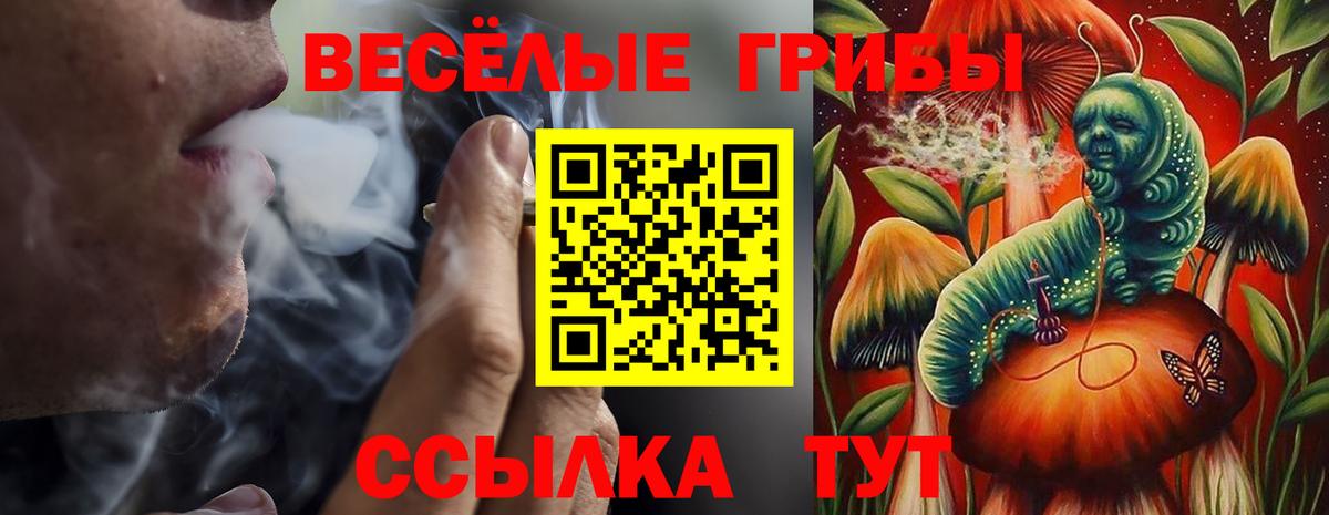 Псилоцибиновые грибы Magic Shrooms Ставрополь